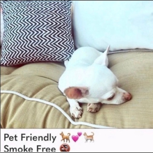 Project Social T | Knit Tank Top S-NWOT - Picture 7 of 7